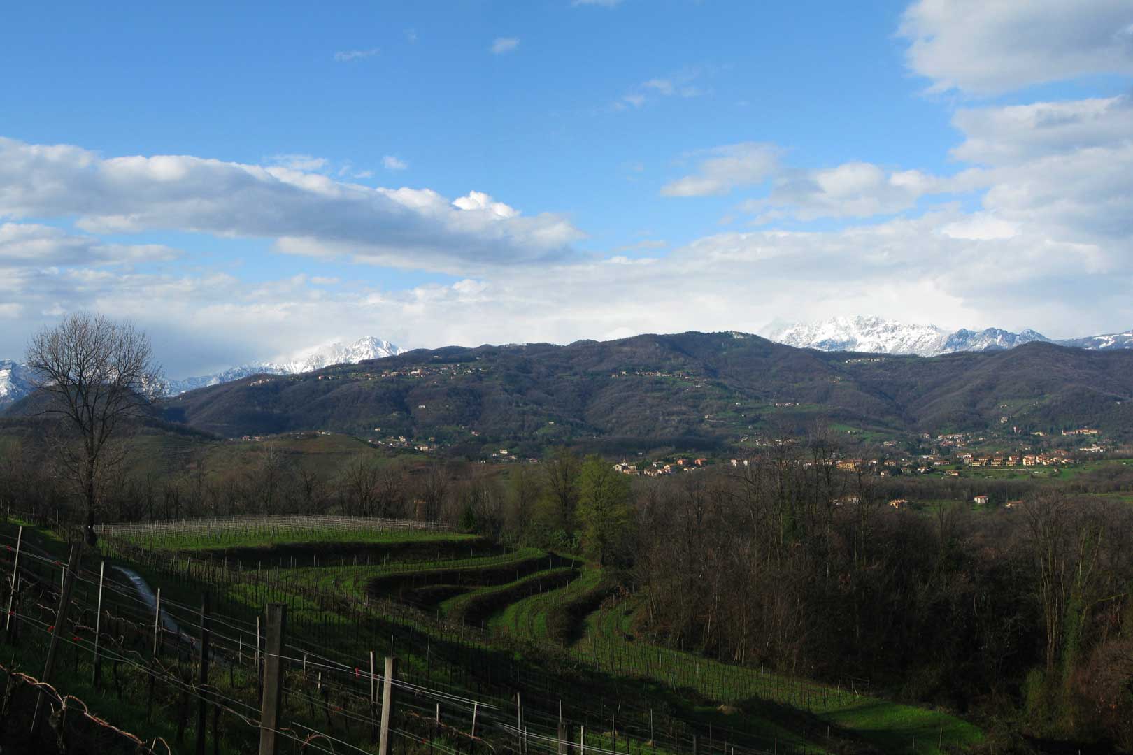 Terrazze di Montevecchia Flawless Milano The Lifestyle Guide