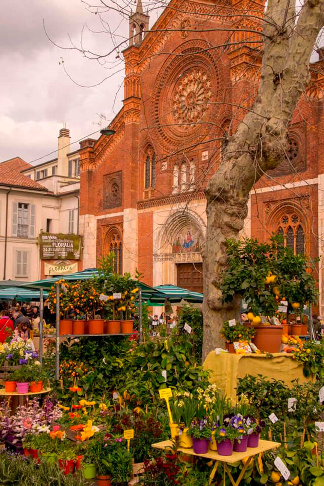 Floralia Flawless Milano The Lifestyle Guide